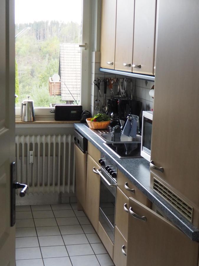 Ferienwohnung Am Kunstberg 29 Altenau  Eksteriør bilde
