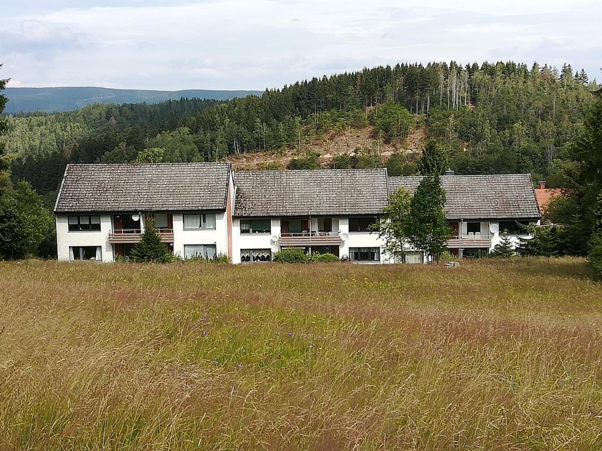 Ferienwohnung Am Kunstberg 29 Altenau  Eksteriør bilde