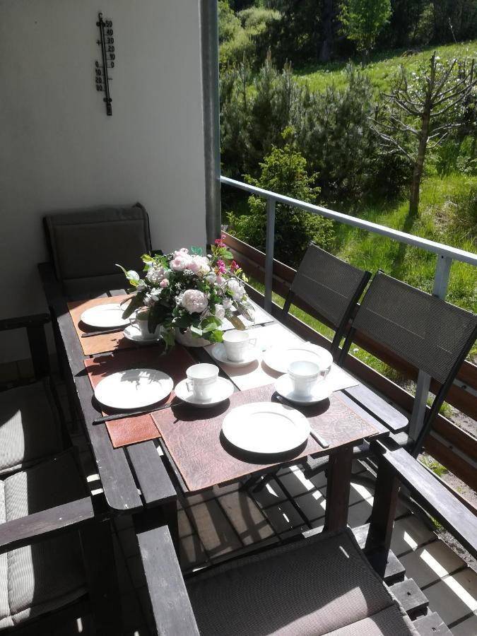 Ferienwohnung Am Kunstberg 29 Altenau  Eksteriør bilde